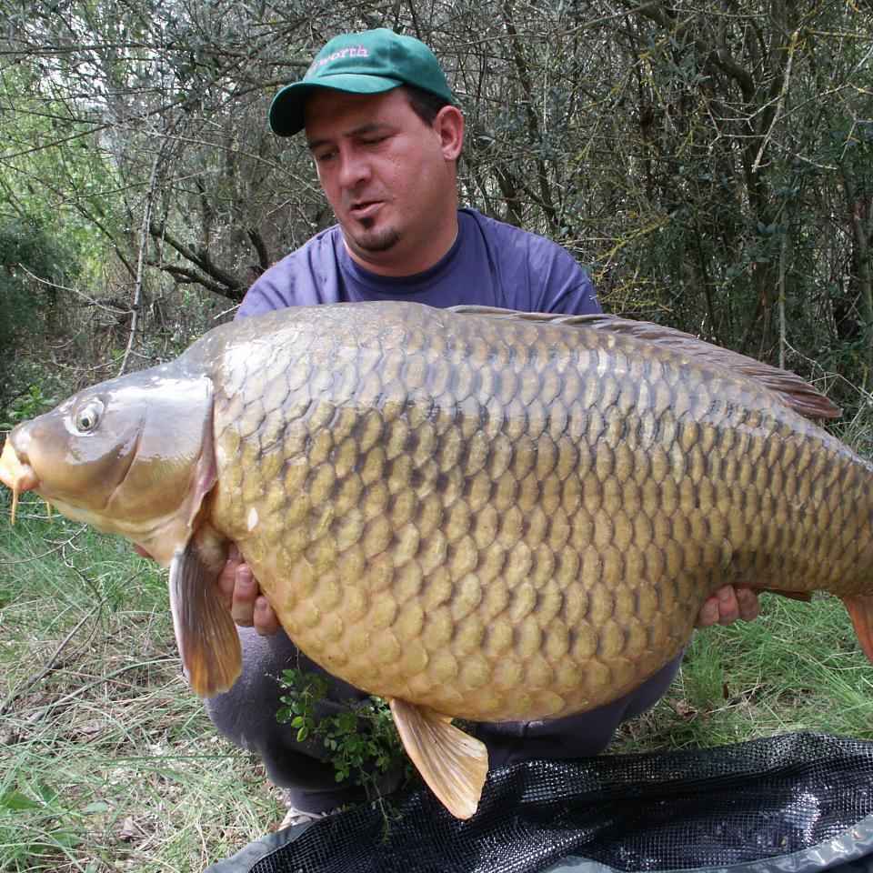Carper since 1994- Angler since 1980 Owner of https://t.co/Uv24e9MM5x  Writing for angling magazines! Book Autor! 