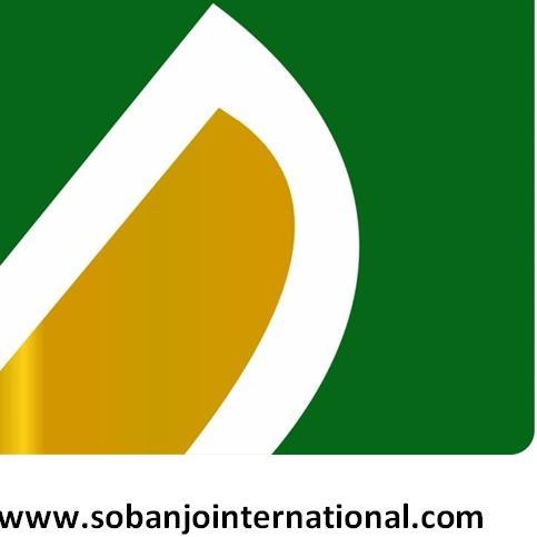 Sobanjo International is an independent member firm of BKR International, a leading global association of independent accounting and business advisory firms.