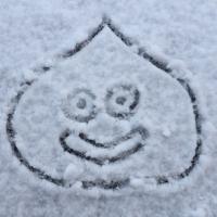 ネギポン (@damakom) 's Twitter Profile Photo