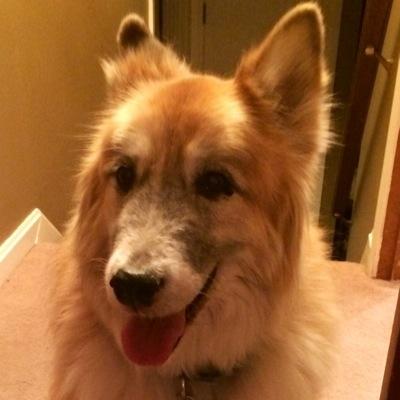 kawatts01's profile picture. 