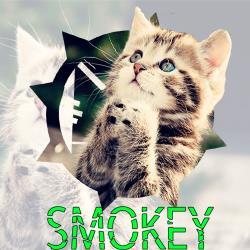 Gamertag is tR Smokey