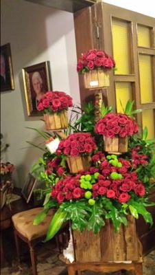 Tony_K_Tawk's profile picture. 