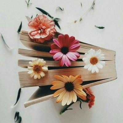 في رحلة البحث مُستمرّة، وللحُلم بقية✨