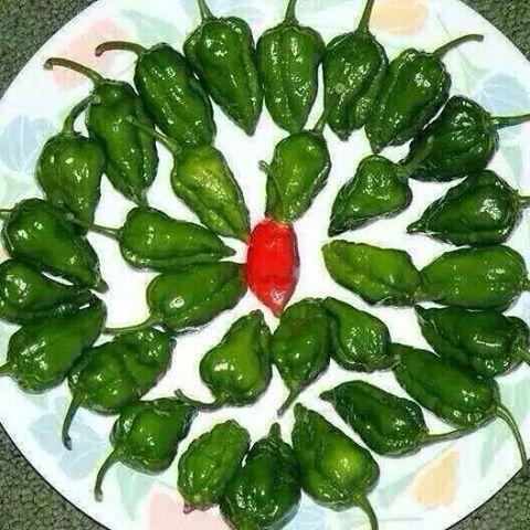 technocomputer7's profile picture. 