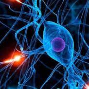 VthNerve's profile picture. 