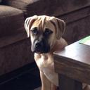 Ken Fioretti - @kfioretti - Twitter