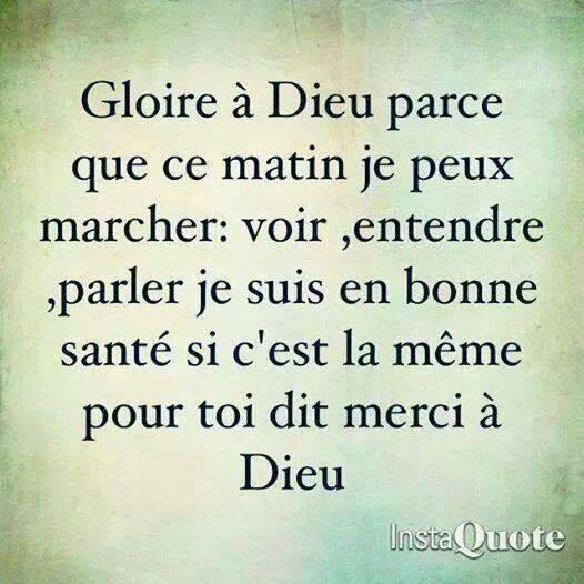 SerCheikh's profile picture. 