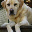 Kate Ramsay - @Trendygypsy - Twitter