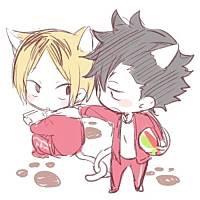 CsmosLune1004's profile picture. 