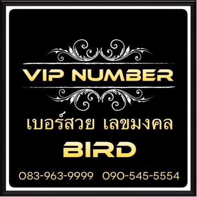 bird_my's profile picture. 
