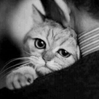 fafgd1234561's profile picture. 