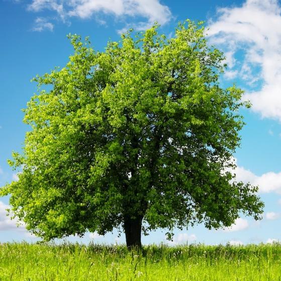 MarcoLombardi83's profile picture. I love computers, old music and old movies, sports, books, plants and nature. Catholic. Welcome everyone!