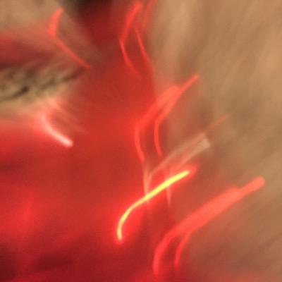 understated17's profile picture. 