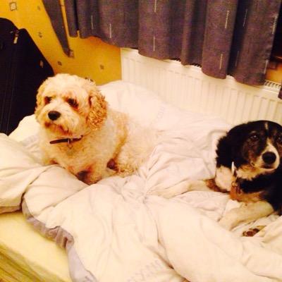 devop82's profile picture. 