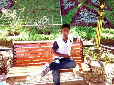 Chartered Accountant