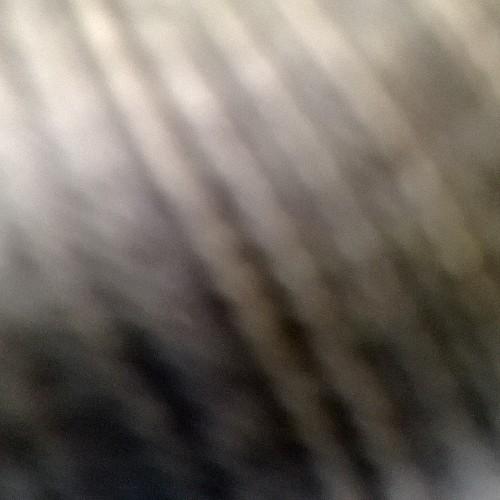 jorgelinapetrac's profile picture. Positiva