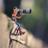 Nhaber14's profile image