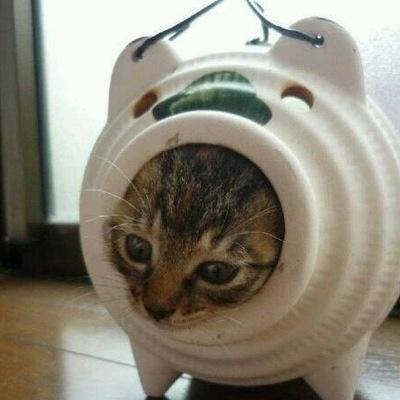 ☻☻☻