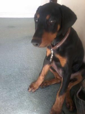 GoodridgeLogan's profile picture. FOLLOW ME AND I WILL FOLLOW U...if I can be bothered       ♡♡