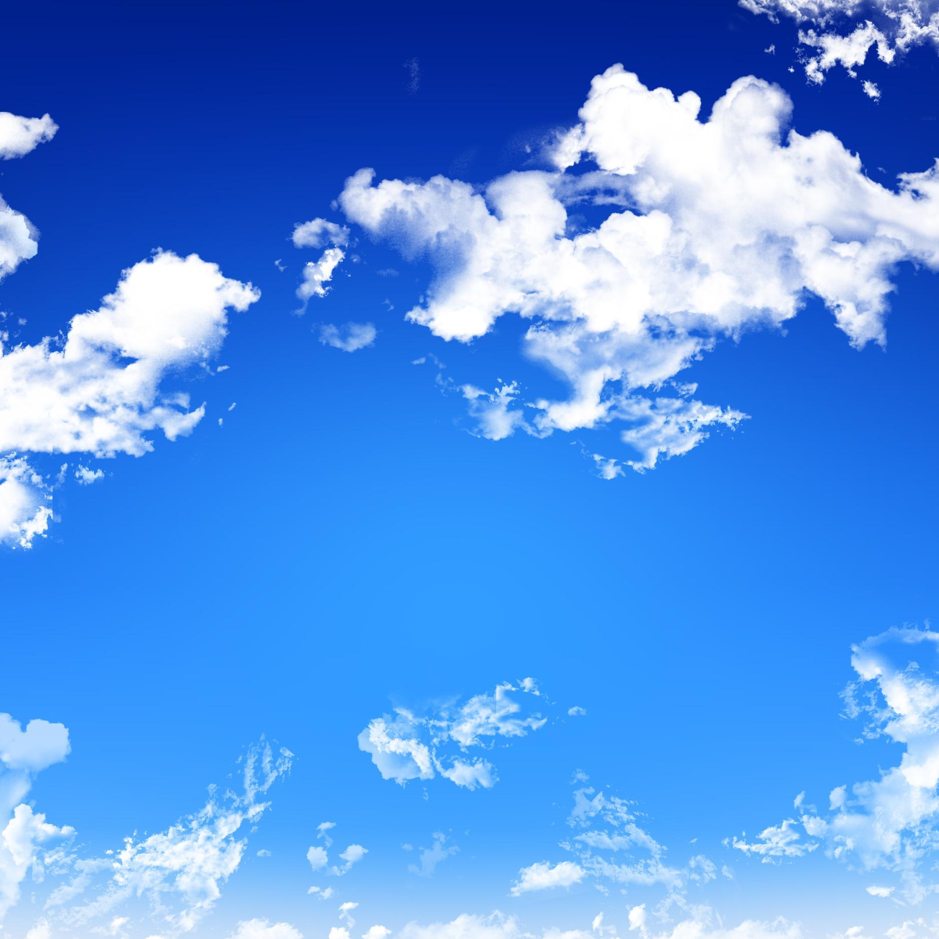 wfefwfw23323's profile picture. wefwefwefw