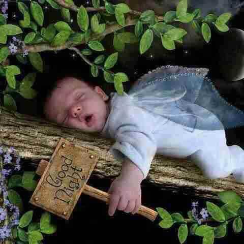 sambaltempe42's profile picture. 