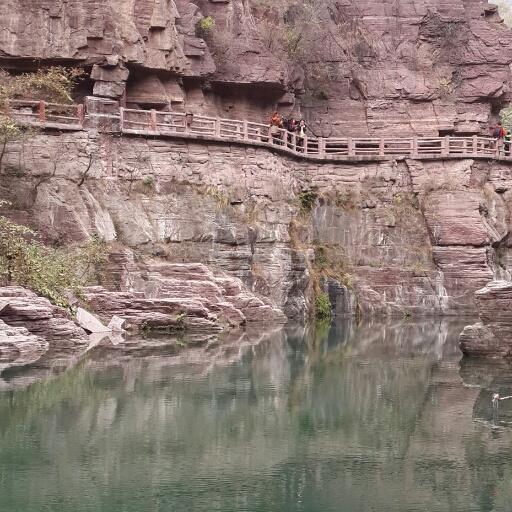 rhezajavier's profile picture. 