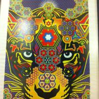 Poder Criollo (@podercriollo) 's Twitter Profile