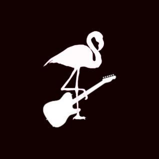 somosflamingos's profile picture. Puntos Cardinales - https://t.co/KnpqB7Hs5z