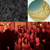 Manchestergeomicro (@geomicroman) 's Twitter Profile Photo Manchestergeomicro (@geomicroman) 's Twitter Profile Photo