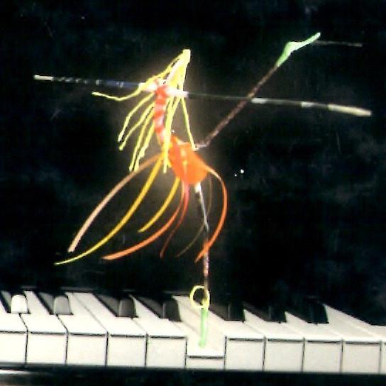 Docente, Pianista.