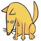 caranot's profile picture. 精密機器メーカー勤務の技術?屋さん. 内製しか勝たん. love▶︎ 写真撮影/旅行/坂本真綾/Mr.Children/野球観戦@日ハム/株投資