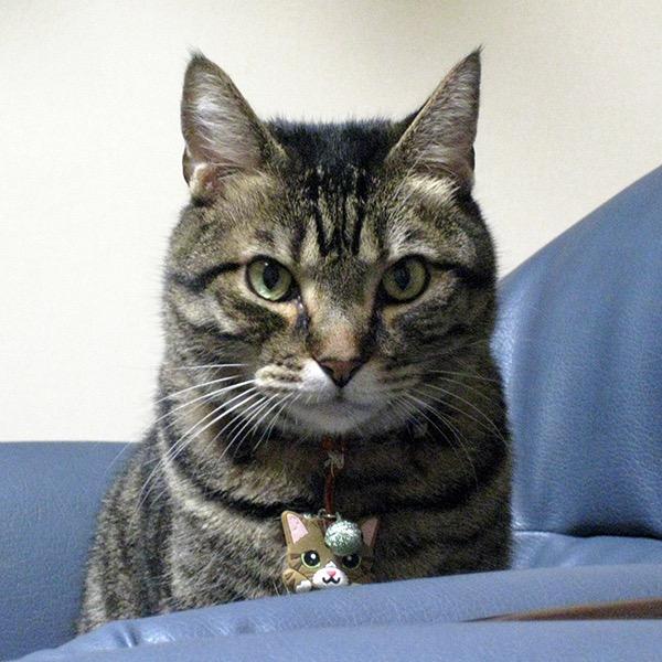 MOMO372358's profile picture. 