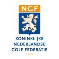 NGF (@ngf_) 's Twitter Profile