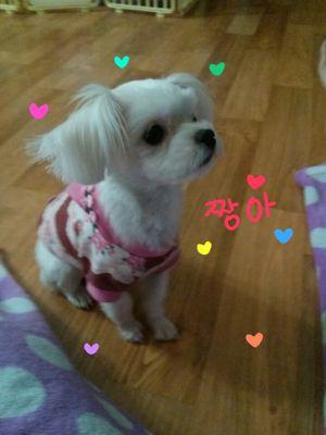 2학년인 중학생입니다!