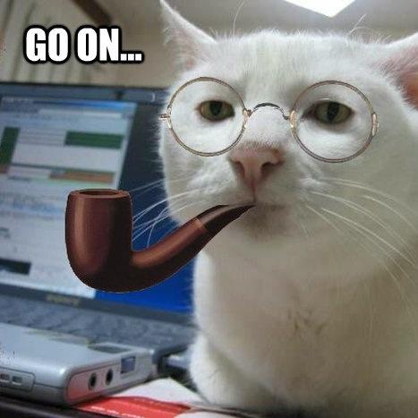 Just a little kitty trying to survive in academia.