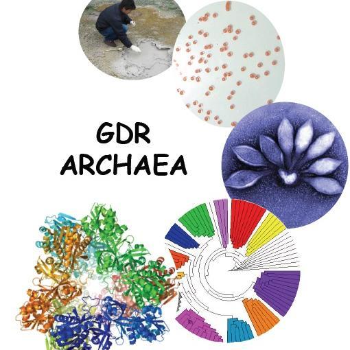 GDR Archaea