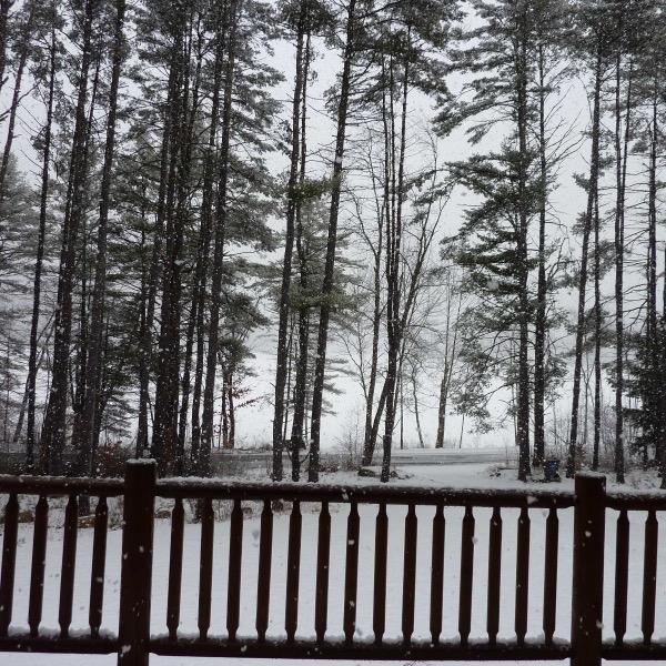 yellowfinkc's profile picture. 