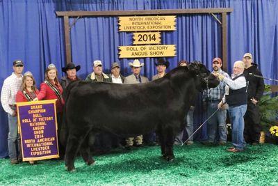 Sr @ Clinton Central 
Class of 2015 
Livestock Judging, Cattle, & Pigs
Surround yourself w/ good people- Steve Patton aka my Dad
18 years old