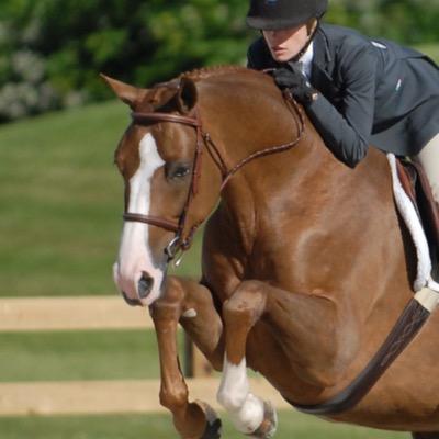 Equestrian