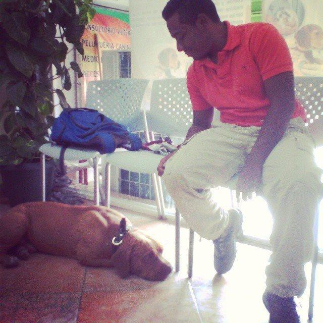 PROMO VI, 17años ,ASPR ser medico veterinario , ♥RK..LR♥∞
