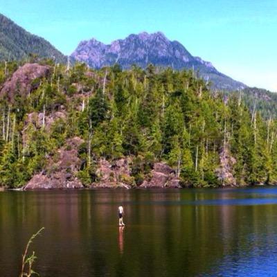 MattHeaslewood's profile picture. 