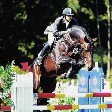 endhousestud's profile picture. Thoroughbred, Pony, Warmblood, Eventing and Coloured Performance Stallions at stud at End House Stud.