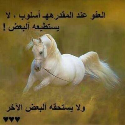 zdsdxx0's profile picture. حسابي الجديد zdsh2015@