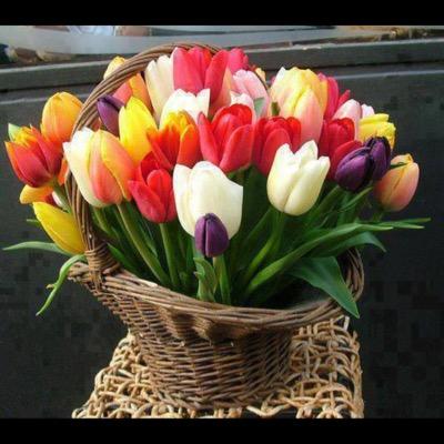 wereyou38's profile picture. 