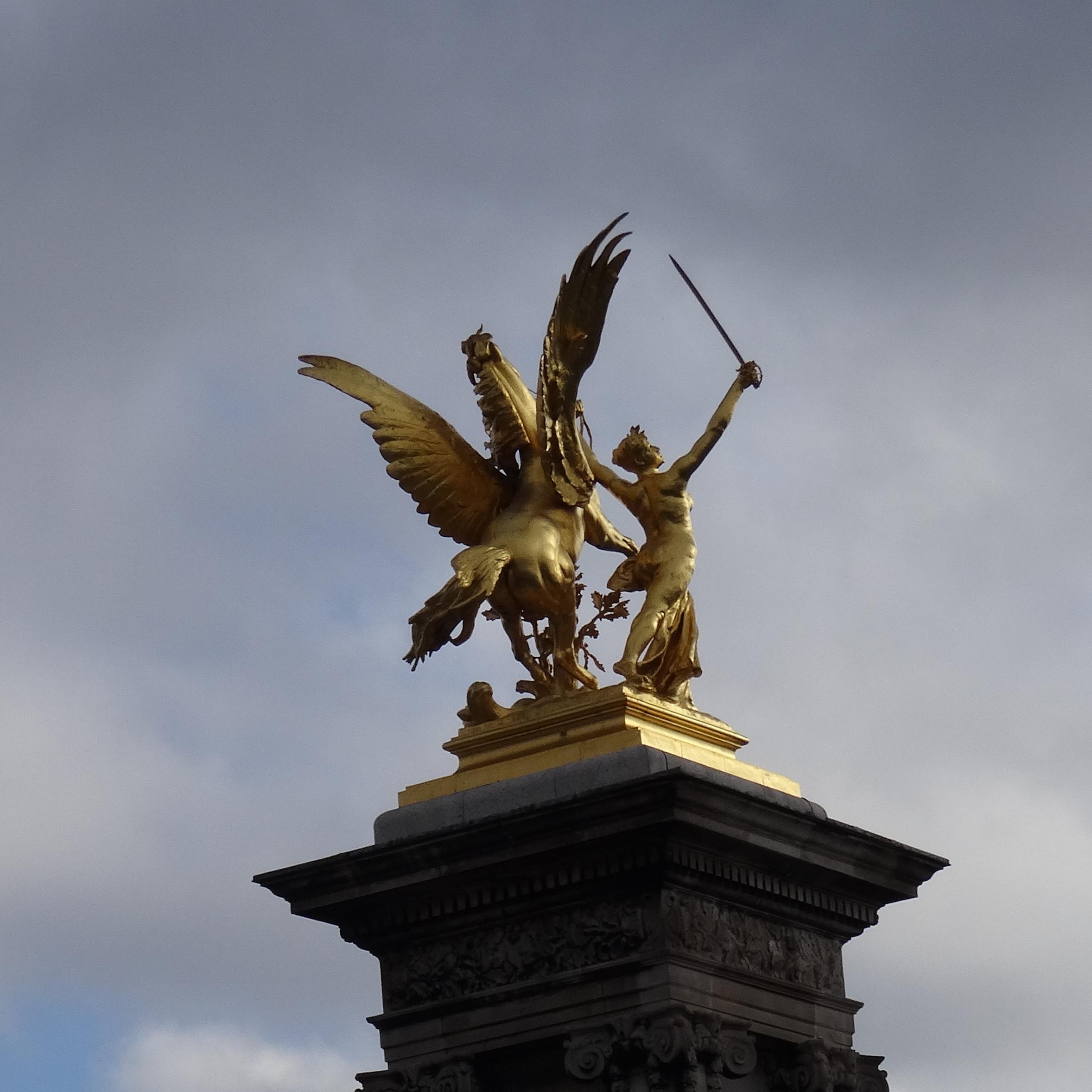 davbool's profile picture. 