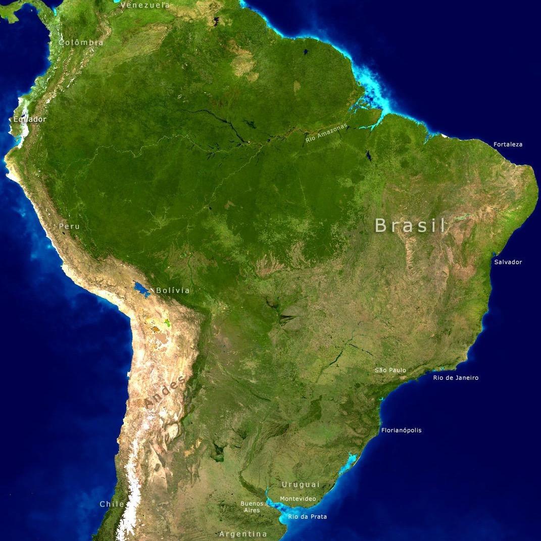 carlosmmoulin's profile picture. 