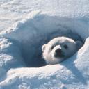 Steve McLaren - @SteveMcLarenF - Twitter