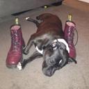 Bill Horan - @BillHoran1 - Twitter