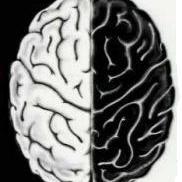 avathis's profile picture. 