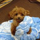 .*Rei*. - @sky_white_0723 - Twitter